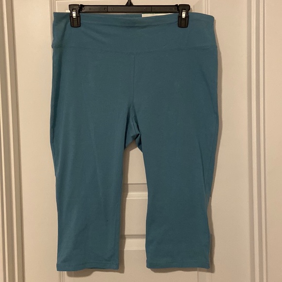 dip Pants & Jumpsuits Dip Capri Pant Light Green Size 2x Poshmark